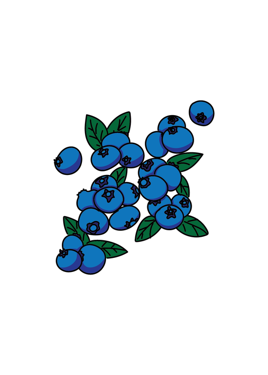 Blueberries art print