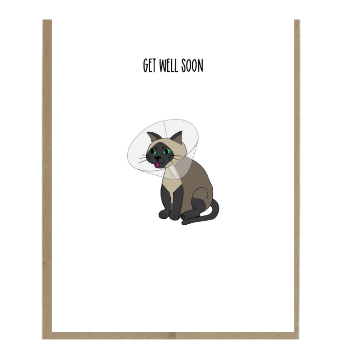 Cone Kitty