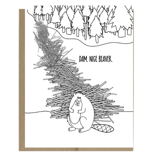 Dam. Nice Beaver.