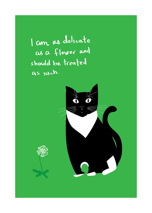 Joseph is a Delicate Flower art print